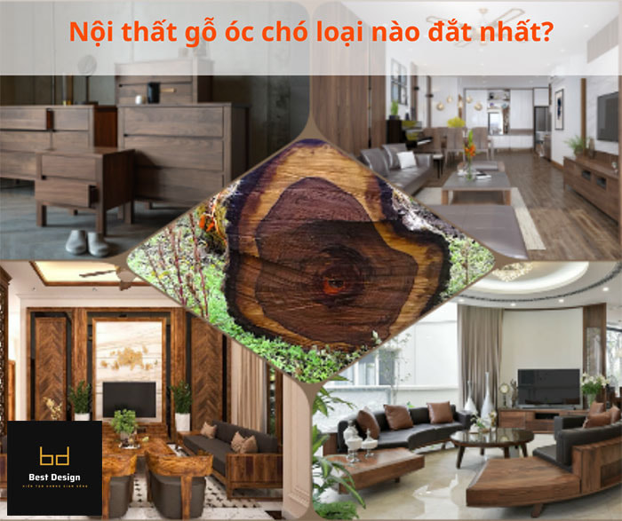 Nội thất gỗ óc chó loại nào đắt nhất?