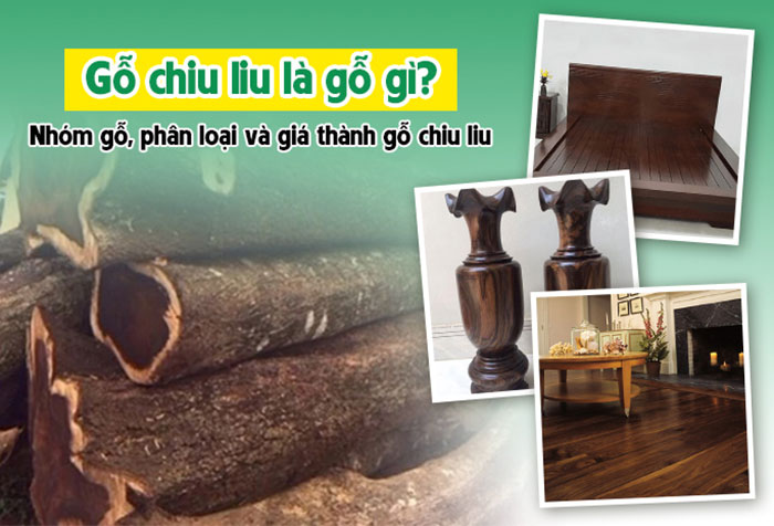 Gỗ chiu liu là gỗ gì?