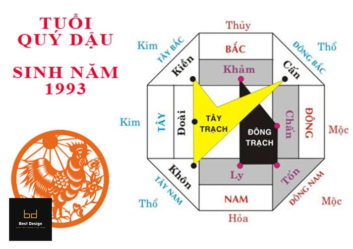 Thông tin về gia chủ tuổi Quý Dậu 1993