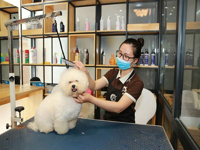 Phân biệt spa thú cưng và siêu thị thú cưng