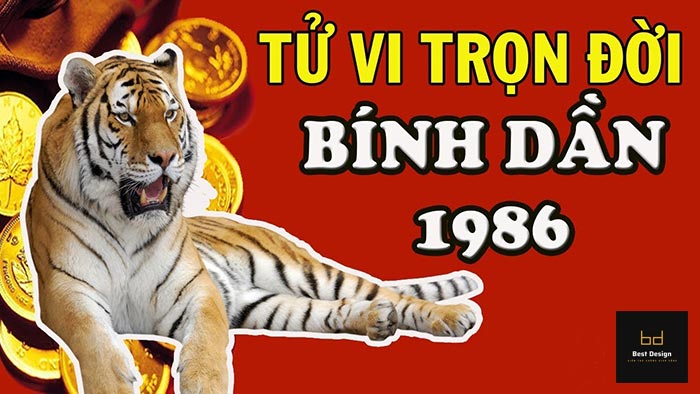 Thông tin tử vi người tuổi Bính Dần 1986
