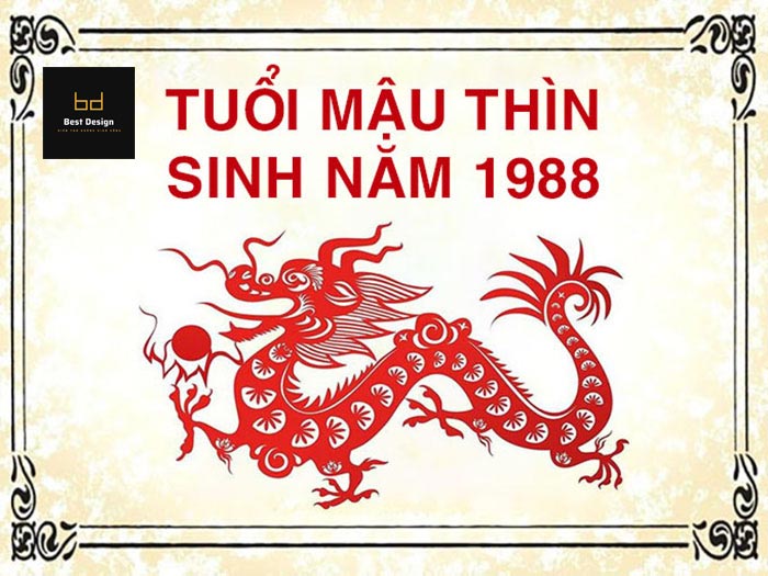 Tổng quan về tuổi Mậu Thìn 1988